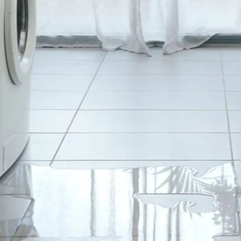 Appliance Leak Cleanup in Springfield, VA