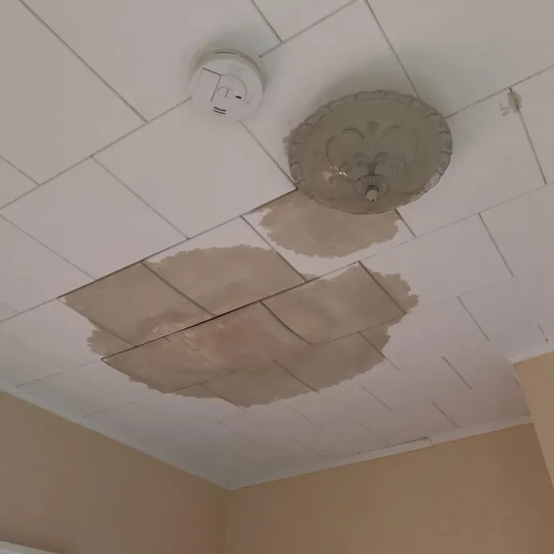 Ceiling Water Damage Repair in Springfield, VA