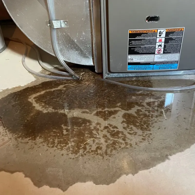 Pipe Burst and Leak Restoration in Springfield, VA
